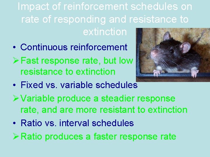 Impact of reinforcement schedules on rate of responding and resistance to extinction • Continuous