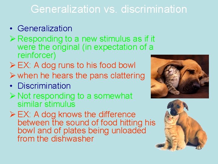 Generalization vs. discrimination • Generalization Ø Responding to a new stimulus as if it