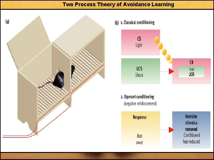 Two Process Theory of Avoidance Learning 