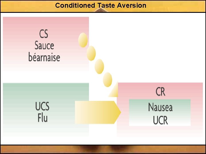 Conditioned Taste Aversion 