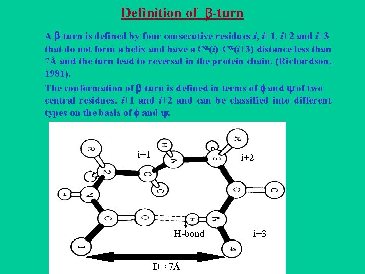 Definition of -turn A -turn is defined by four consecutive residues i, i+1, i+2 Definition of -turn A -turn is defined by four consecutive residues i, i+1, i+2