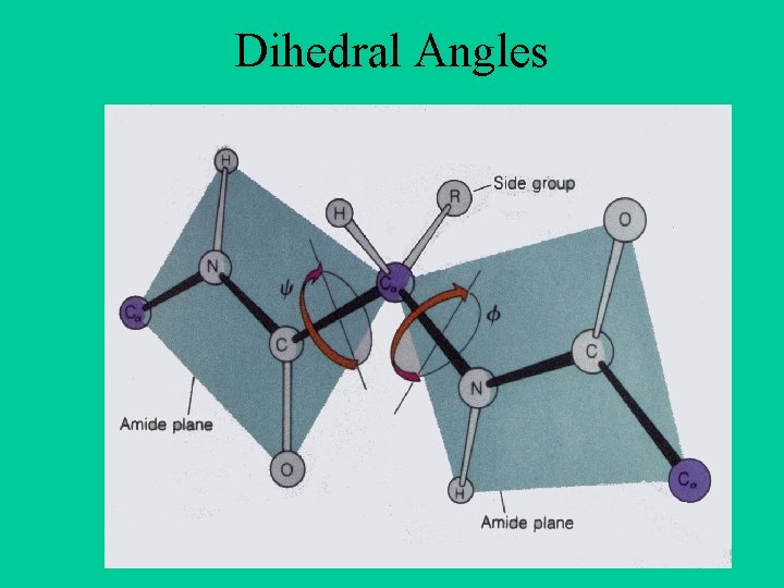 Dihedral Angles Dihedral Angles