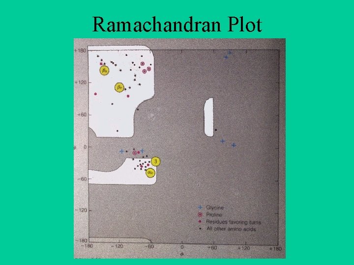Ramachandran Plot Ramachandran Plot