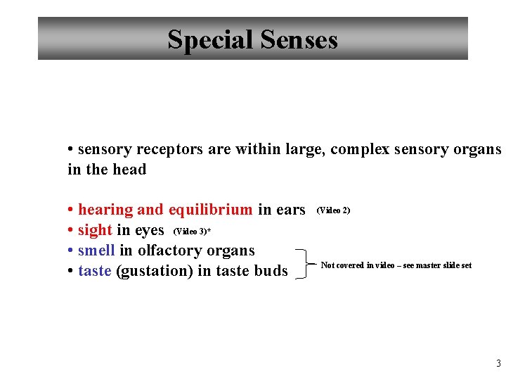 Special Senses • sensory receptors are within large, complex sensory organs in the head