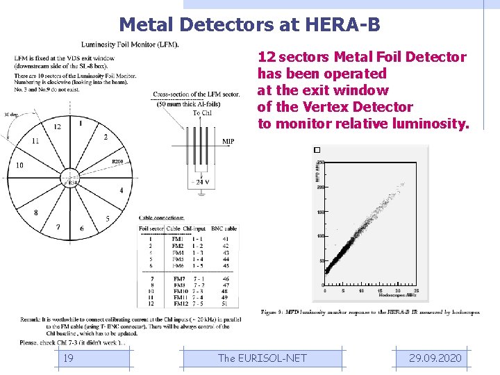 Metal Detectors at HERA-B 12 sectors Metal Foil Detector has been operated at the