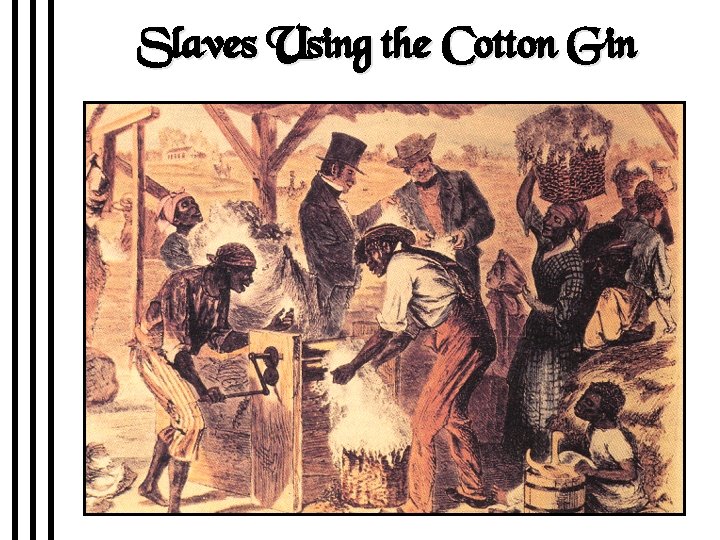 Slaves Using the Cotton Gin 