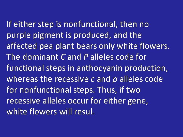 If either step is nonfunctional, then no purple pigment is produced, and the affected