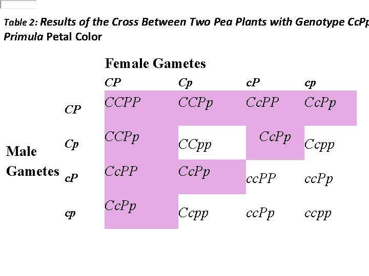 Table 2: Results of the Cross Between Two Pea Plants with Genotype Cc. Pp