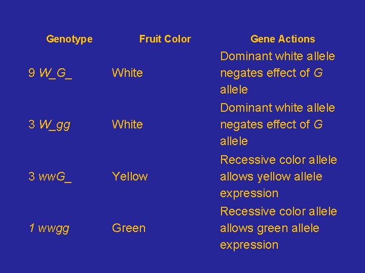 Genotype 9 W_G_ 3 W_gg 3 ww. G_ 1 wwgg Fruit Color Gene Actions