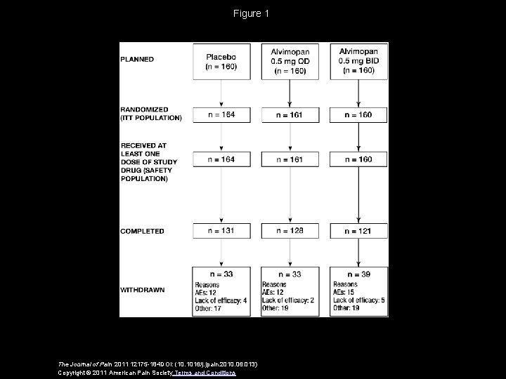 Figure 1 The Journal of Pain 2011 12175 -184 DOI: (10. 1016/j. jpain. 2010.