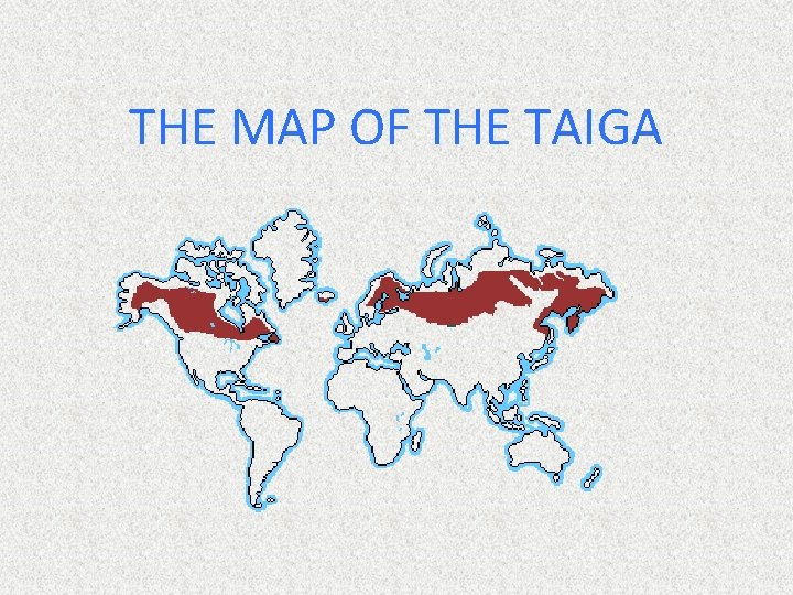 THE MAP OF THE TAIGA 