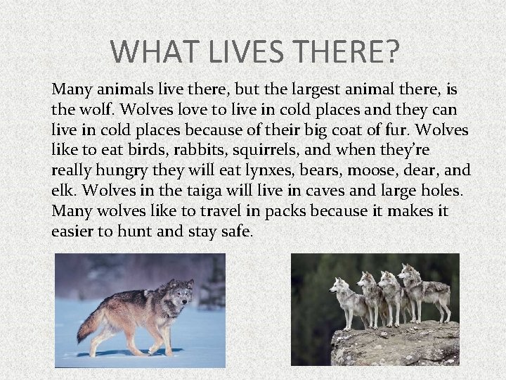 WHAT LIVES THERE? Many animals live there, but the largest animal there, is the