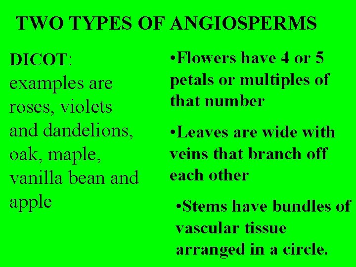 TWO TYPES OF ANGIOSPERMS DICOT: examples are roses, violets and dandelions, oak, maple, vanilla