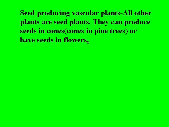 Seed producing vascular plants-All other plants are seed plants. They can produce seeds in