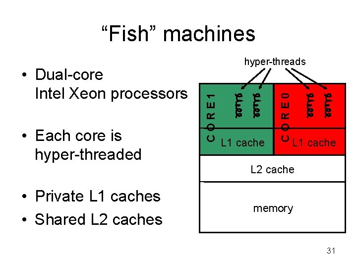 “Fish” machines L 1 cache CORE 0 • Each core is hyper-threaded CORE 1