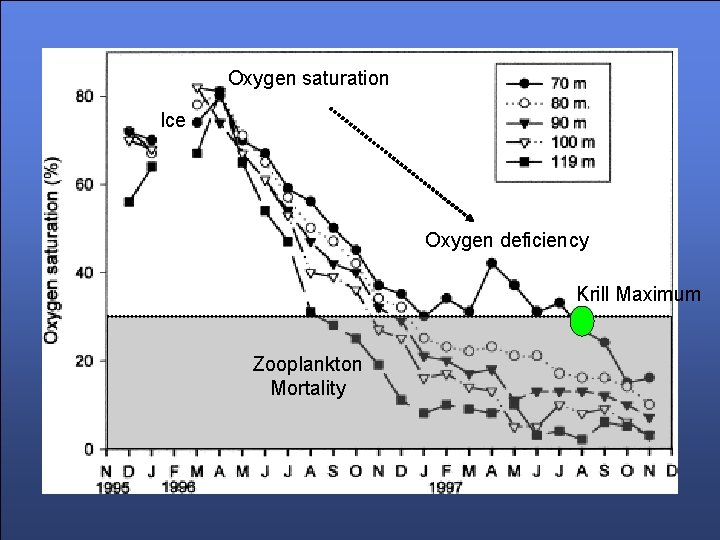Oxygen saturation Ice Oxygen deficiency Krill Maximum Zooplankton Mortality 