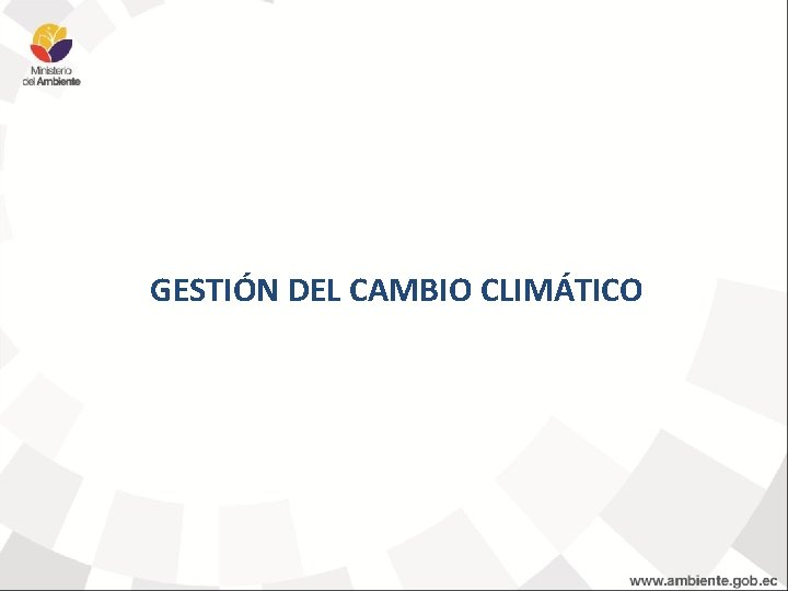 GESTIÓN DEL CAMBIO CLIMÁTICO 