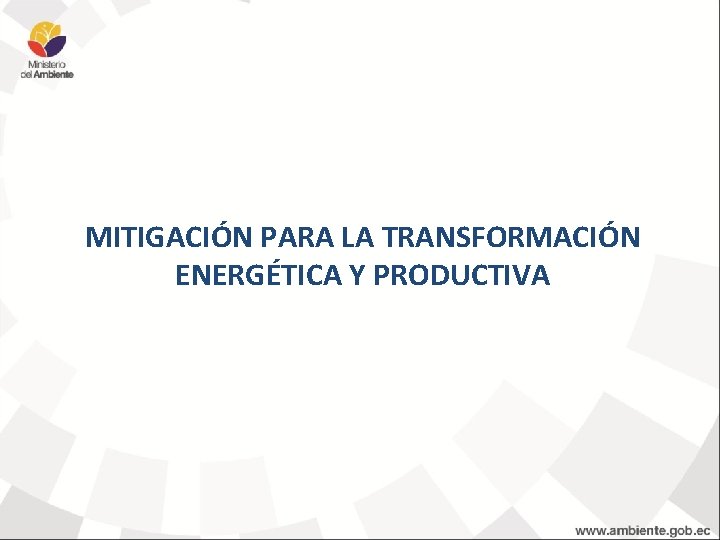 MITIGACIÓN PARA LA TRANSFORMACIÓN ENERGÉTICA Y PRODUCTIVA 