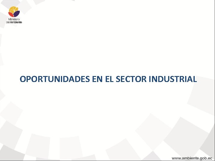 OPORTUNIDADES EN EL SECTOR INDUSTRIAL 