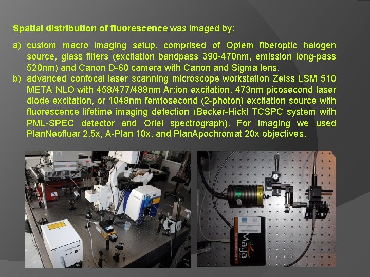 Spatial distribution of fluorescence was imaged by: a) custom macro imaging setup, comprised of