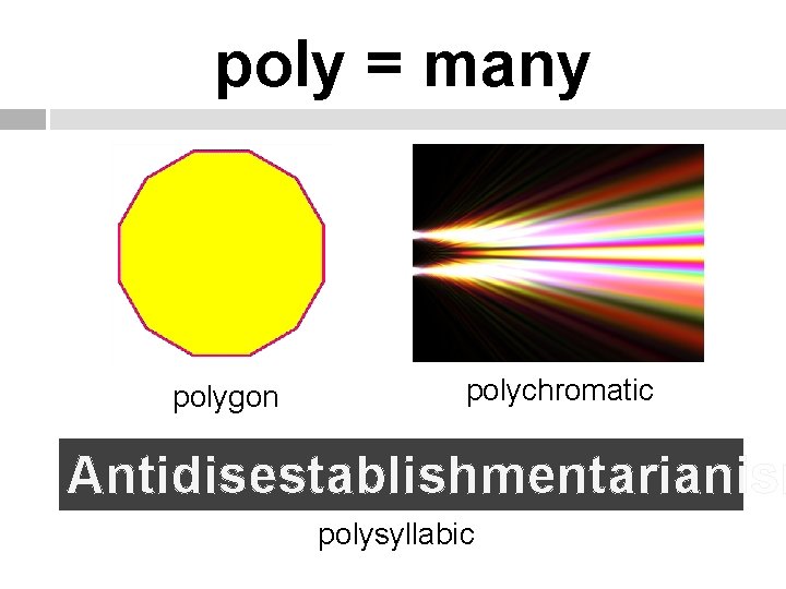 poly = many polygon polychromatic Antidisestablishmentarianism polysyllabic 