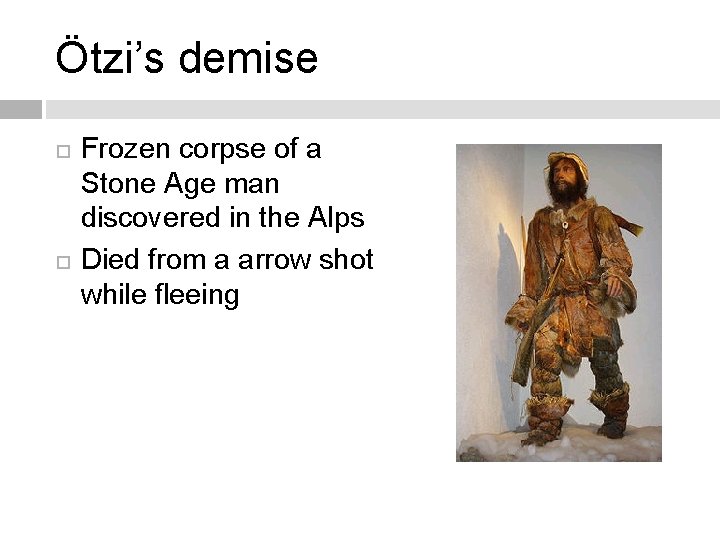 Ötzi’s demise Frozen corpse of a Stone Age man discovered in the Alps Died