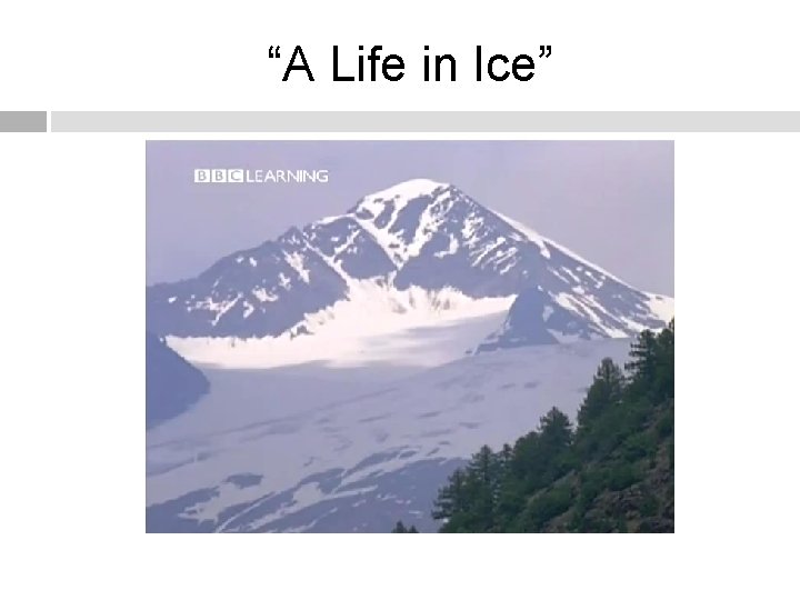 “A Life in Ice” 