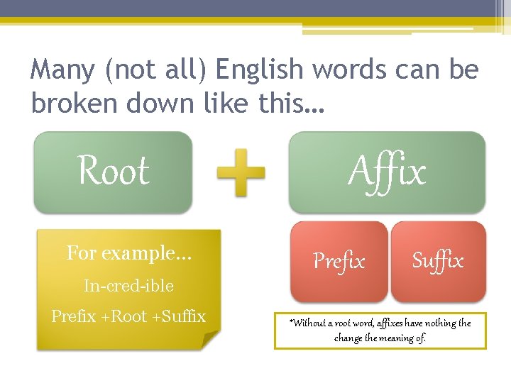 Many (not all) English words can be broken down like this… Root For example…