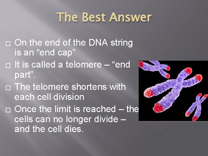 The Best Answer � � On the end of the DNA string is an