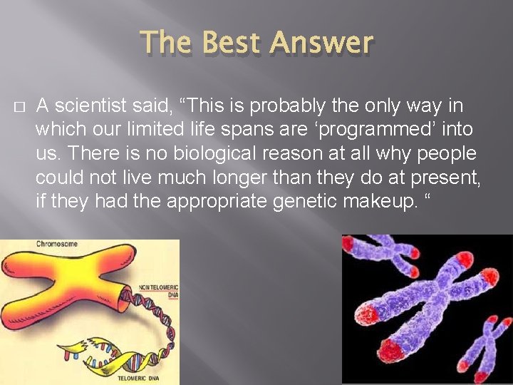 The Best Answer � A scientist said, “This is probably the only way in