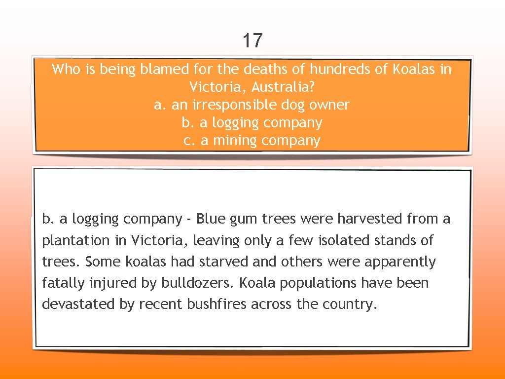 17 Who is being blamed for the deaths of hundreds of Koalas in Victoria,