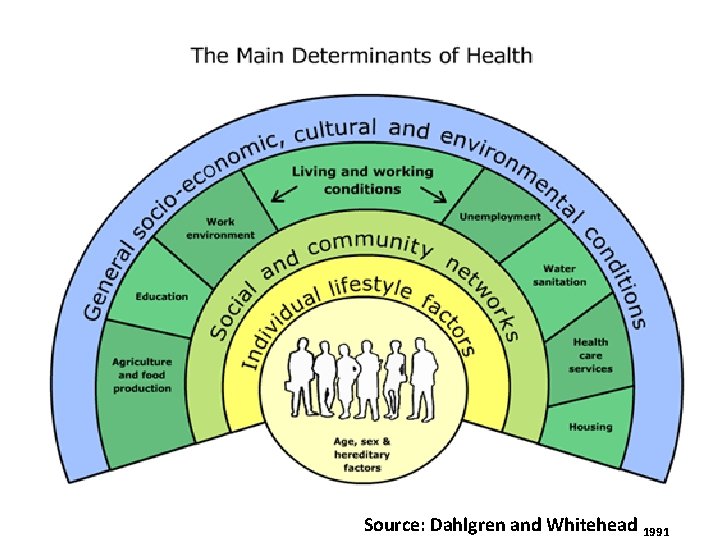 Source: Dahlgren and Whitehead 1991 