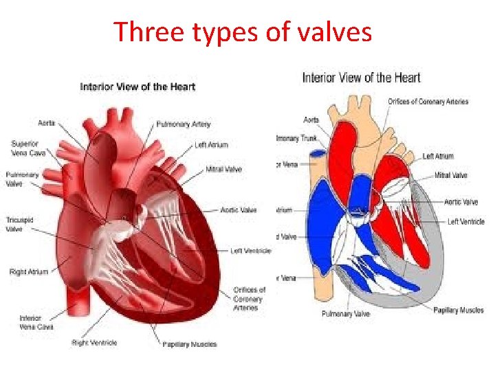 Three types of valves 