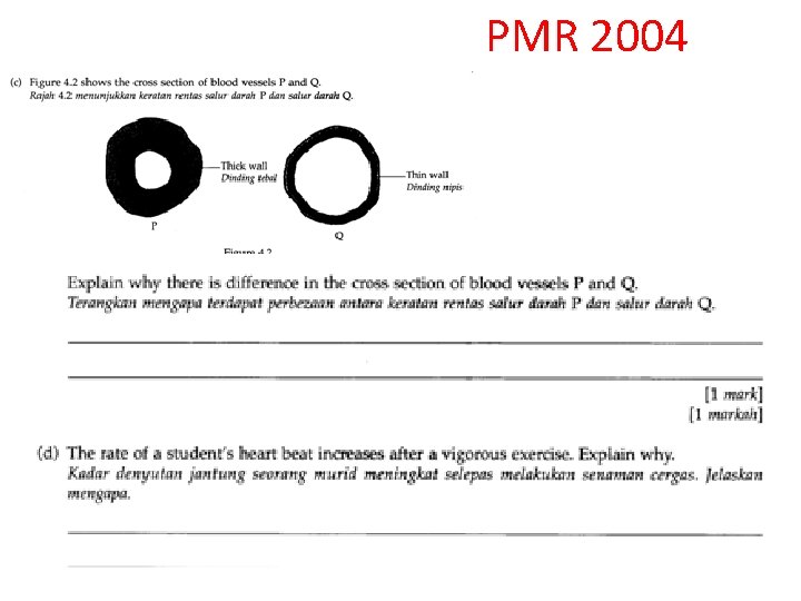 PMR 2004 