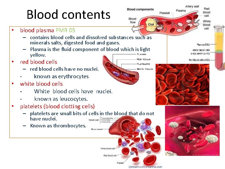 Blood contents • blood plasma PMR 05 – contains blood cells and dissolved substances