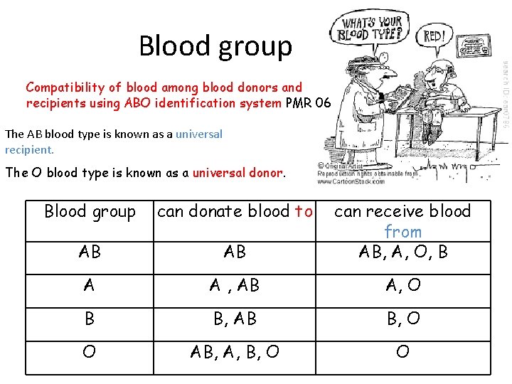 Blood group Compatibility of blood among blood donors and recipients using ABO identification system