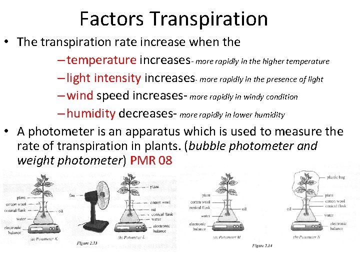 Factors Transpiration • The transpiration rate increase when the – temperature increases- more rapidly