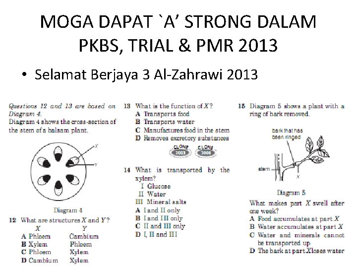 MOGA DAPAT `A’ STRONG DALAM PKBS, TRIAL & PMR 2013 • Selamat Berjaya 3