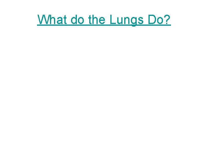 What do the Lungs Do? 