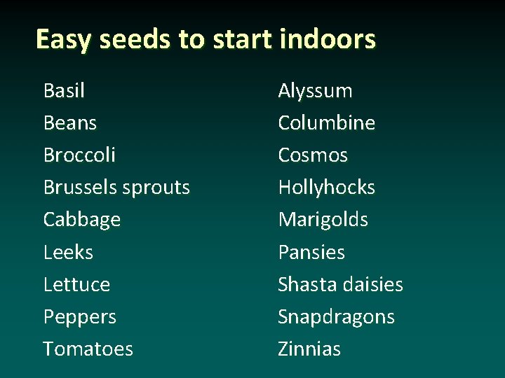 Easy seeds to start indoors Basil Beans Broccoli Brussels sprouts Cabbage Leeks Lettuce Peppers