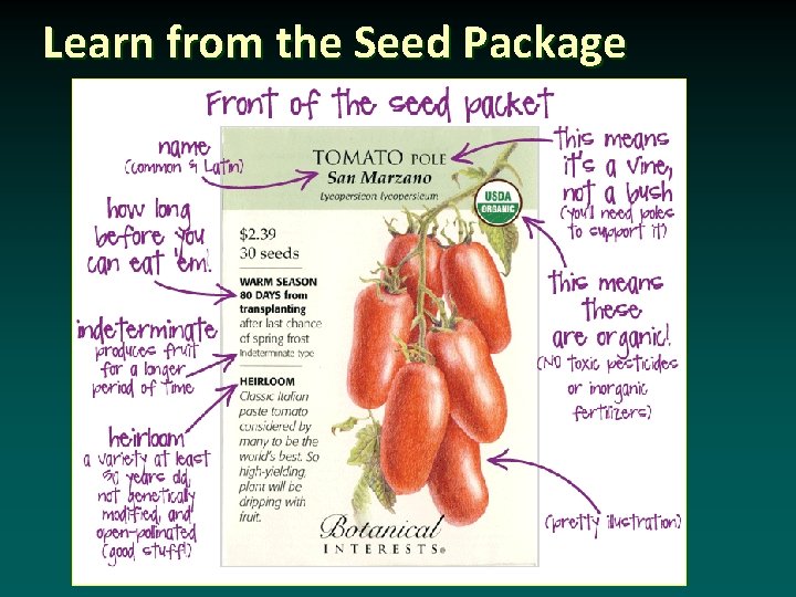 Learn from the Seed Package 
