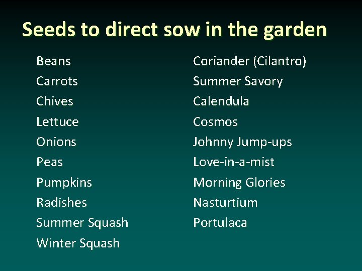Seeds to direct sow in the garden Beans Carrots Chives Lettuce Onions Peas Pumpkins