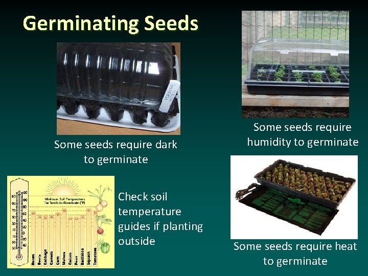 Germinating Seeds Some seeds require dark to germinate Check soil temperature guides if planting