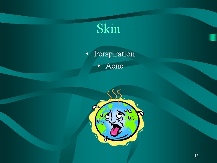 Skin • Perspiration • Acne 15 