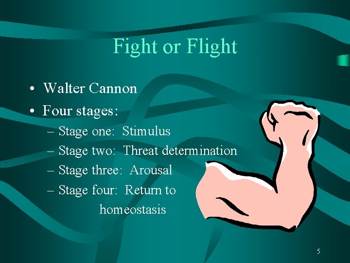 Fight or Flight • Walter Cannon • Four stages: – Stage one: Stimulus –