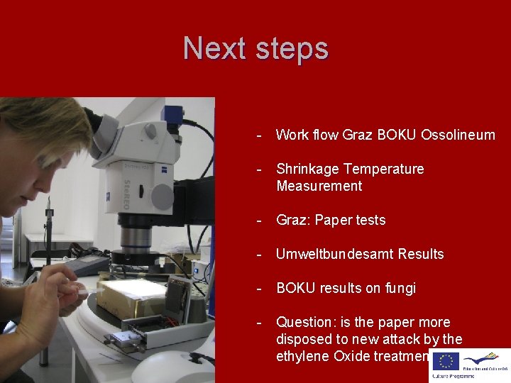 Next steps - Work flow Graz BOKU Ossolineum - Shrinkage Temperature Measurement - Graz: