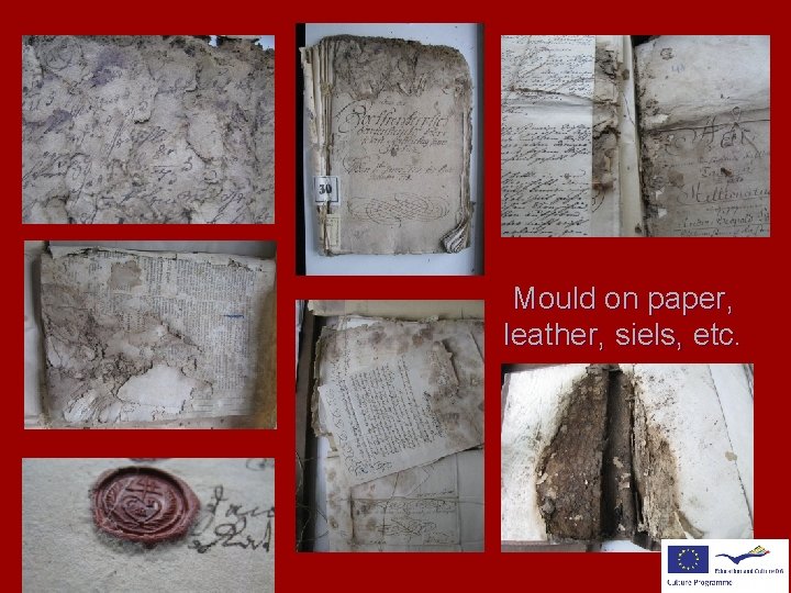 Mould on paper, leather, siels, etc. 