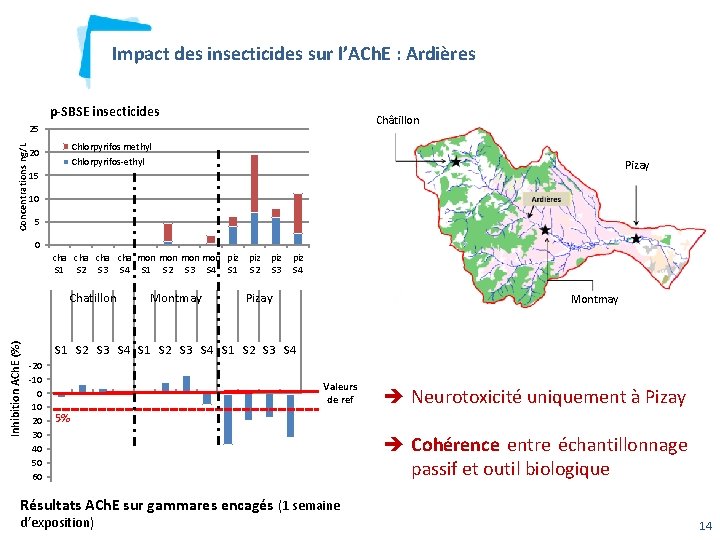 Impact des insecticides sur l’ACh. E : Ardières p-SBSE insecticides Châtillon Concentrations ng/L 25