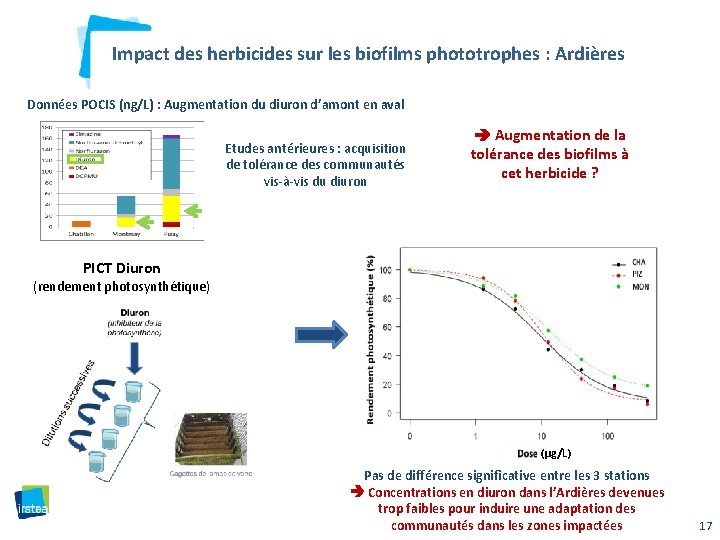 Impact des herbicides sur les biofilms phototrophes : Ardières Données POCIS (ng/L) : Augmentation