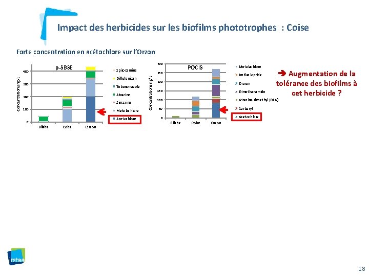 Impact des herbicides sur les biofilms phototrophes : Coise Forte concentration en acétochlore sur